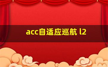 acc自适应巡航 l2